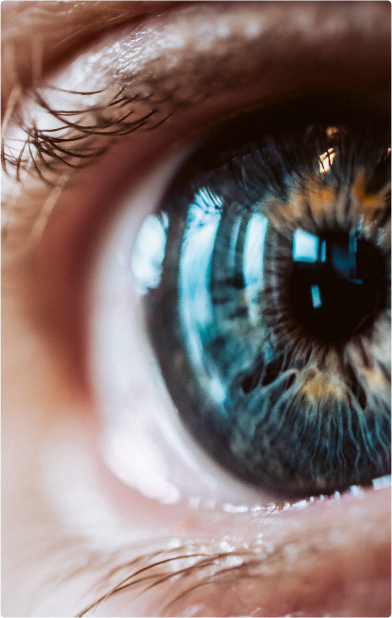 Missão, visão e valores